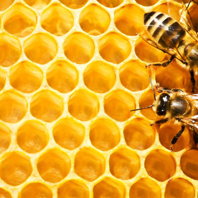 Can Honey Help Spring Allergies