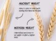Do I need to be Gluten Free