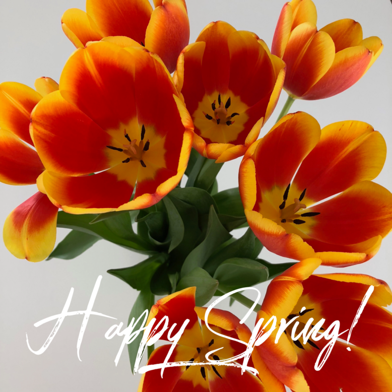happy spring