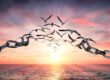 Forgiveness and freedom
