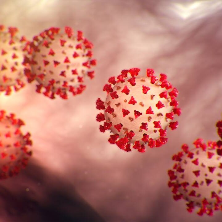 Coronavirus