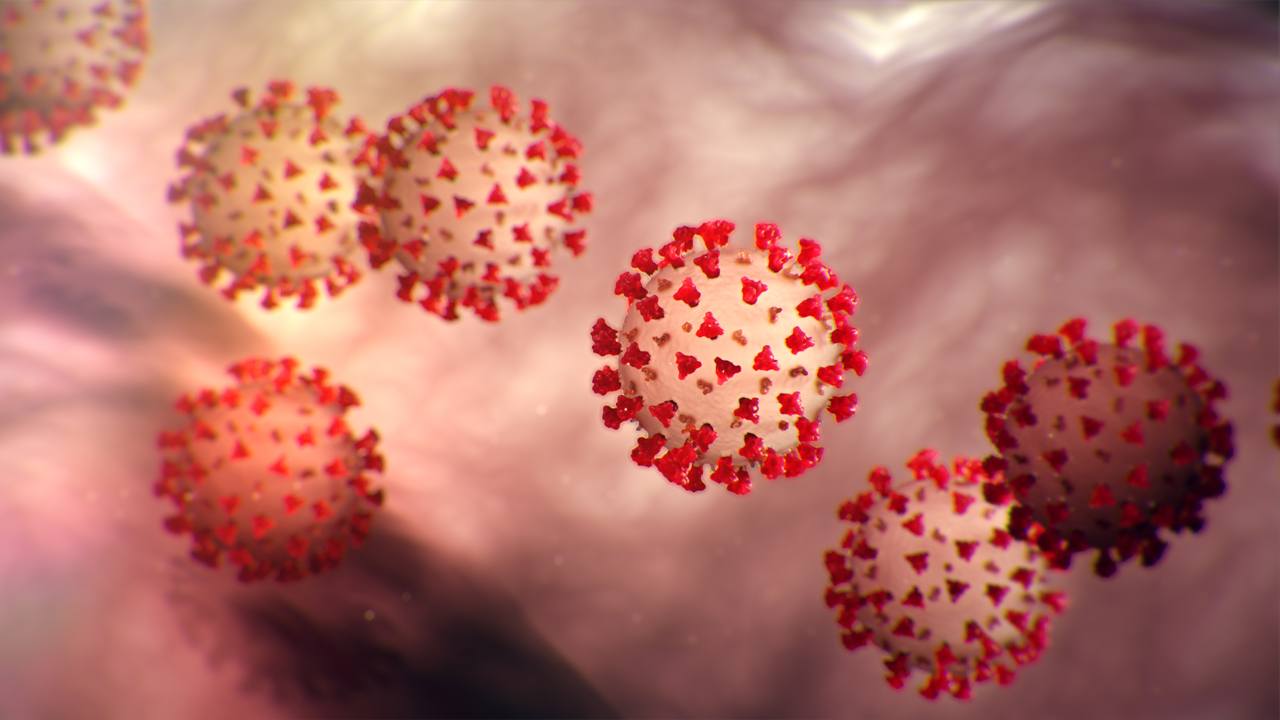 coronavirus-COVID-19 Coronavirus
